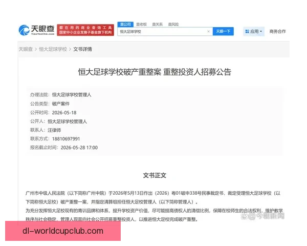 恒大足校负债28亿学生数量仅666人引发经营困境
